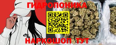трава Лесосибирск
