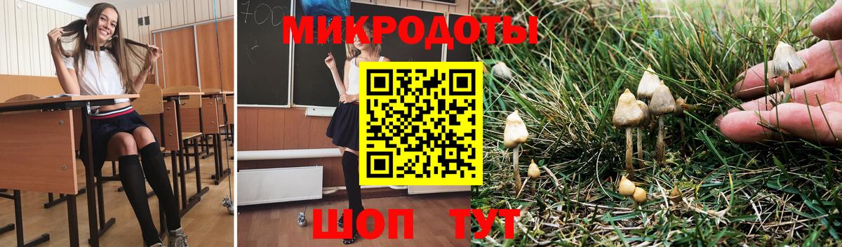 Псилоцибиновые грибы мицелий Златоуст